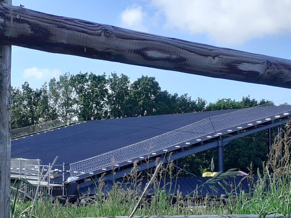 La ferme, La Belle des Prés, éleveur et producteur de charolais à Noyal-Muzillac dans le Morbihan utilise des panneaux solaires